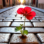 **

"Close-up photograph of worn cobblestones in a Madrid alleyway, highlighting the cracks and textures. A single vibrant flower, like a geranium, sprouts from a crack. Soft, golden hour lighting. Wabi-Sabi aesthetic."

**